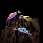 PLEASANT VALLEY ESSENTIALS BUNDLE