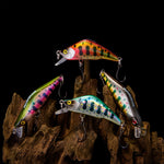 WESTERN ESSENTIALS BUNDLE