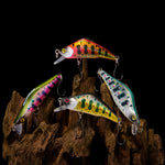 WESTERN ESSENTIALS BUNDLE