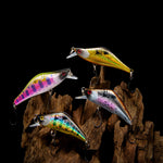 WOUNDED ESSENTIALS BUNDLE